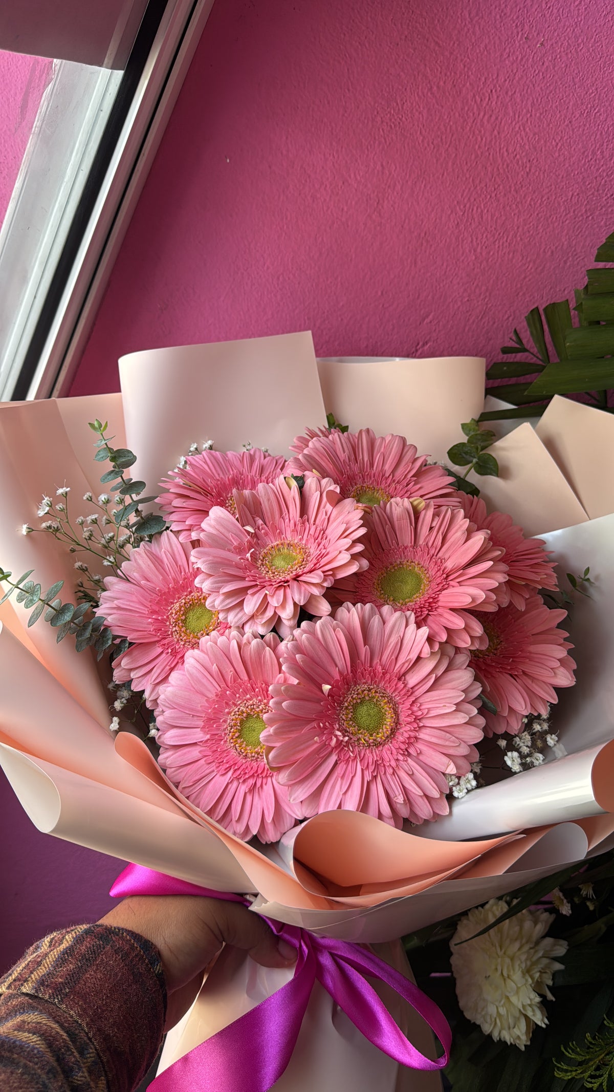 Decena gerberas