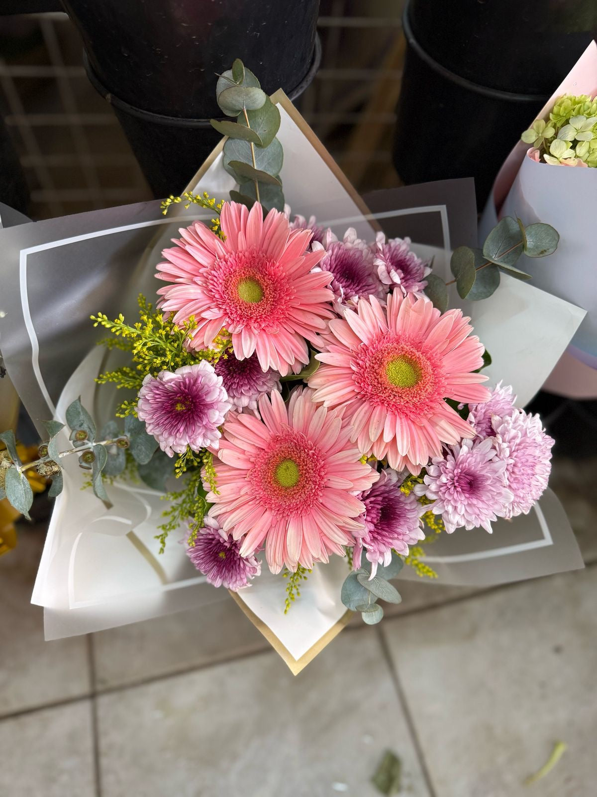 Gerbera básico